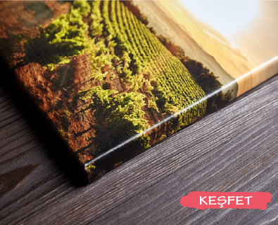 Dijital Baskı Tablolar